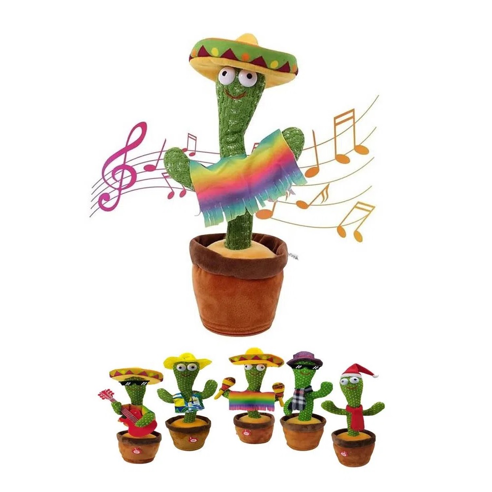 [6951234555412] Cactus Bailarín