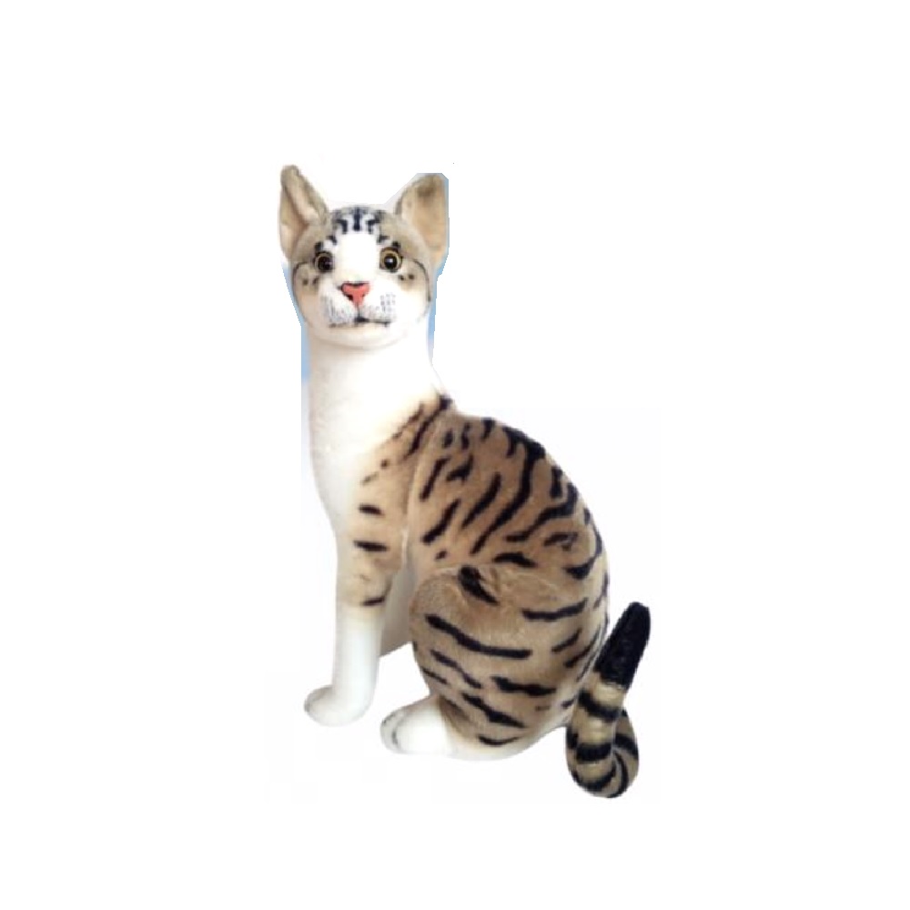 Gato Atigrado sentado