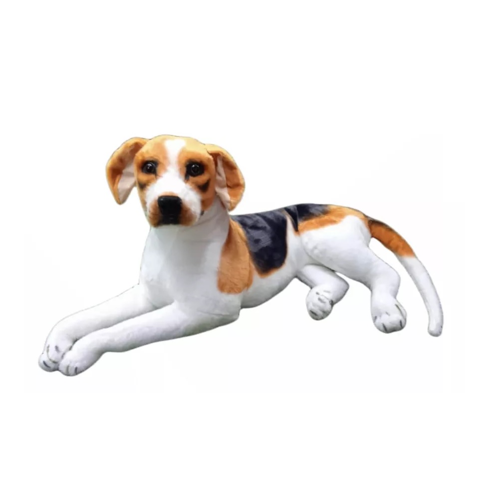 Perro Beagle Echado