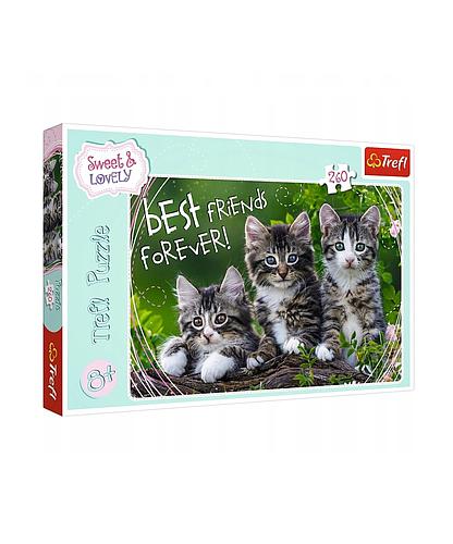 Puzzle Tres Gatitos