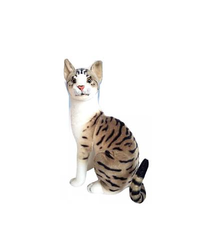 Gato Atigrado sentado