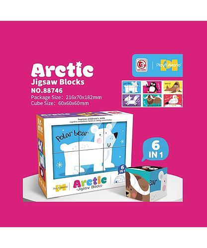 Puzzle Cubos Ártico 6 en 1